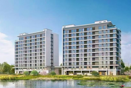 元通丨海盐县领导率队检查梧桐大厦工地项目